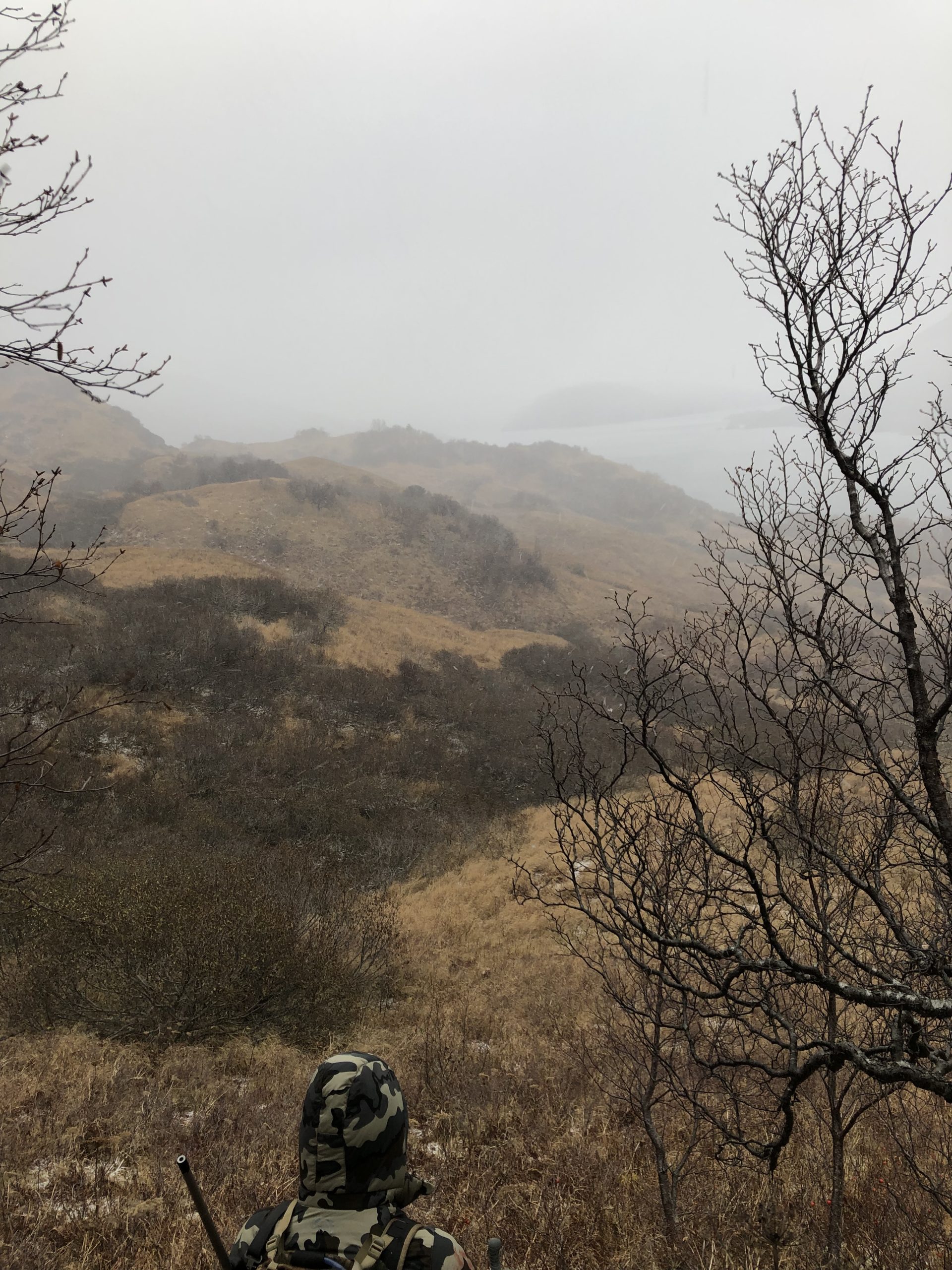 view of hills blacktail deer country