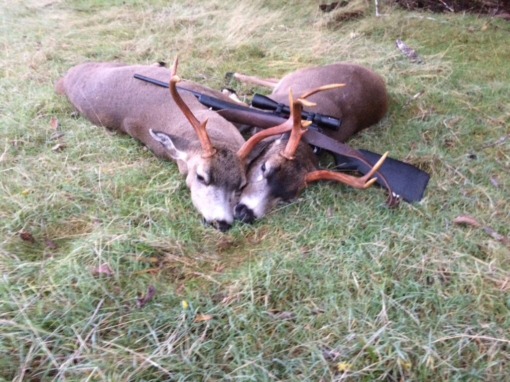 Peter two nice blacktail bucks