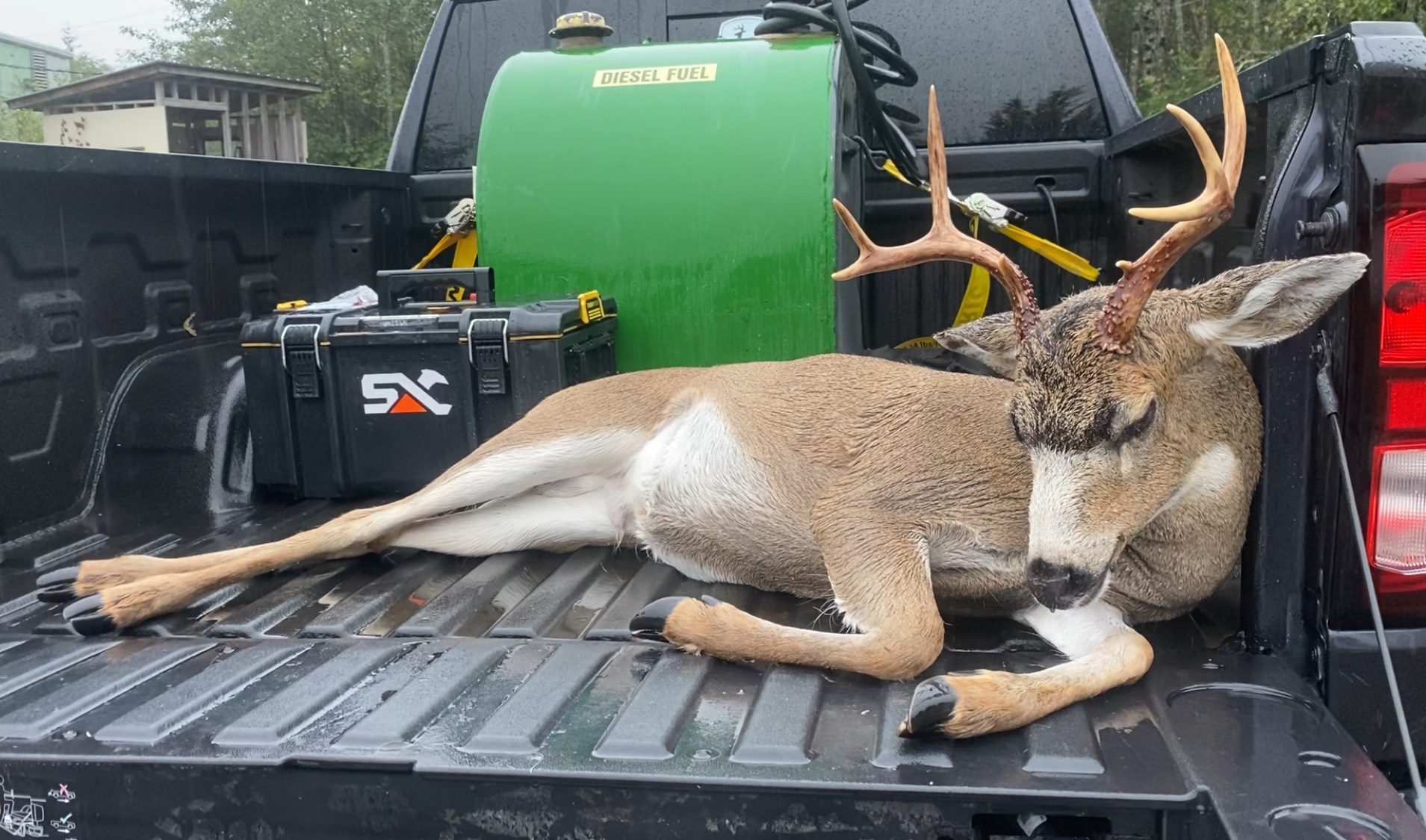 dylan AKTIS called buck in truck